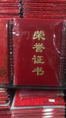 大中文化荣誉证书
